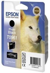  Epson T0961  Stylus Photo Pro 2880   (11,1 .)